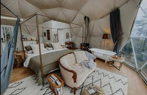 Ragged Island Otro | Forest Shore Dome