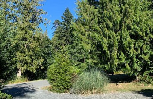 Mill Bay Apartamento | Forest trails suite