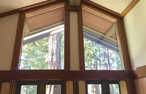 Tahoe Tavern Casa | Forest View - 10 Minutes to Palisades Tahoe & Walk to Town!