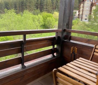 Shiligarnika Apartamento | Forest View Apartment C34 Bansko