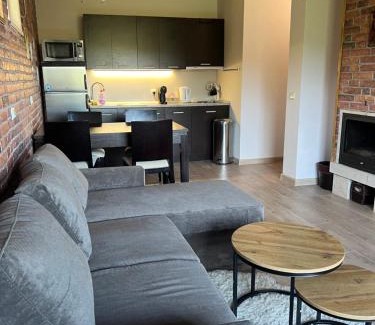 Shiligarnika Apartamento | Forest View Apartment C34 Bansko