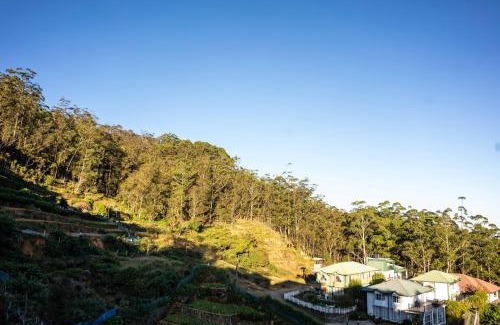 Nuwara Eliya Cabina | Forest View Lodge