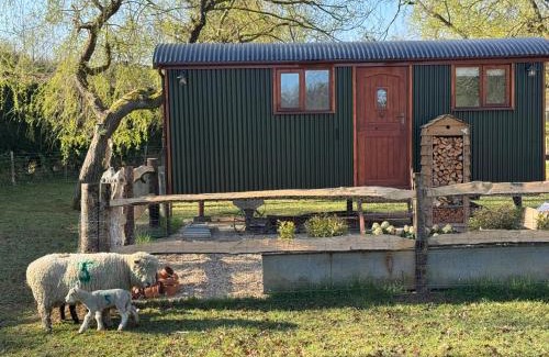 Ewhurst Apartamento | Forest view shepherds hut Hare hut