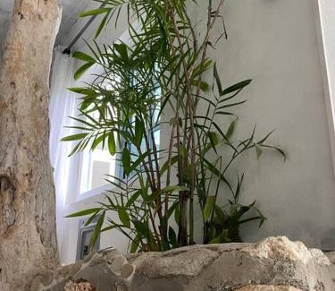 Robins Bay Apartamento | Forever Beach Apartment