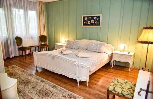 Baile Govora Casa | Former Ceausescu's Vila Crizantema