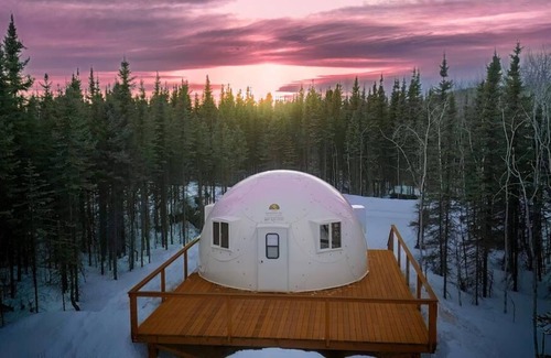 Pleasant Valley Otro | Fortymile Igloo: Reindeer Walking Path and Aurora