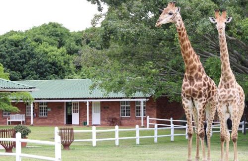 Wartburg Apartamento | Fountainhill Estate Accommodation