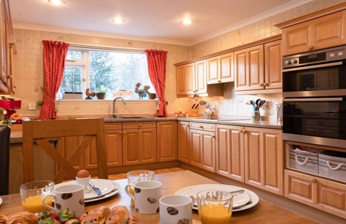 Dulnain Bridge Cabaña | Four Pines Lodge - a house that sleeps 8 guests in 4 bedrooms