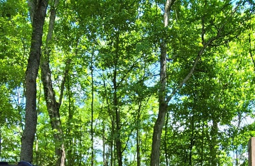 Scottdale Alquiler De RV | FOUR SEASONS LAUREL HIGHLANDS CAMPING