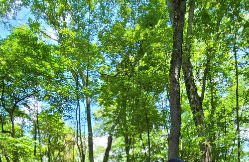 Scottdale Alquiler De RV | FOUR SEASONS LAUREL HIGHLANDS CAMPING