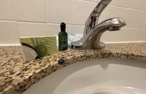 South Fork Cabina | Four Seasons Lodge