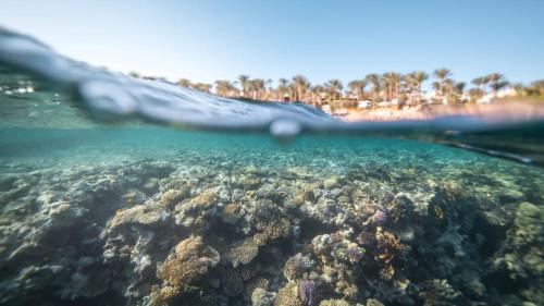 Sharm El Sheikh Apartamento | Four Seasons Resort Sharm El Sheikh Private Residential Villa & Chalet - Egypt