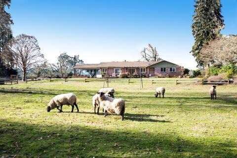 Scholls Casa | Four Wheels Farm