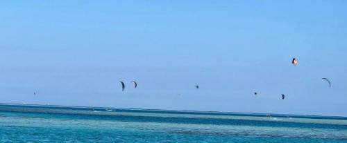 Al Ahyaa Apartamento | Fox house resort Apartment hotel