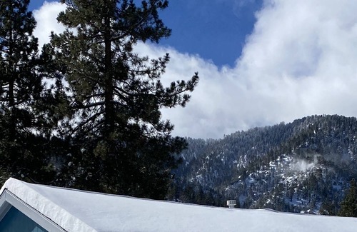 Wrightwood Cama Y Desayuno | Foxes Den suite
