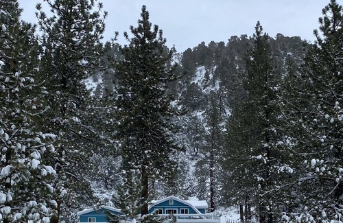 Wrightwood Cama Y Desayuno | Foxes Den suite