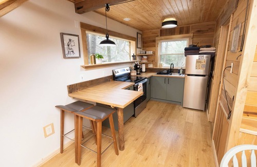 Stanton Cabina | Foxglove | Inside Nada Tunnel | Trails + Hot Tub