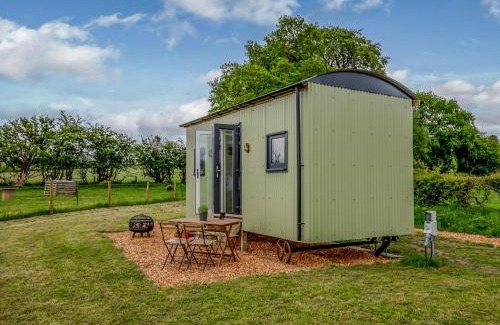 Bradbourne Casa | Foxglove - Uk37639