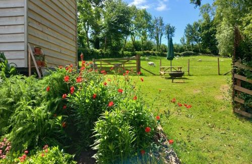 Dulverton Otro | Foxgloves