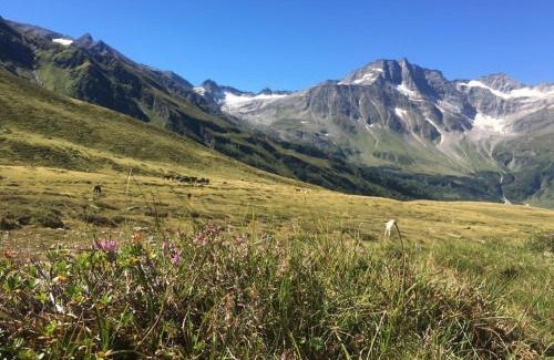 Rauris Hotel | Frühstücks- & Apartmenthaus Maislau