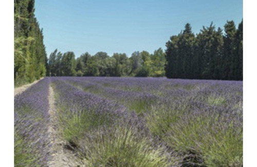 Saint-Saturnin-les-Avignon Apartamento | 30 m² Apartamento ∙ 3 habitaciones ∙ 4 huéspedes