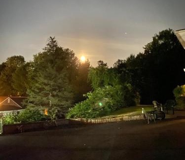 Lake George Hotel | Fran Cove Motel