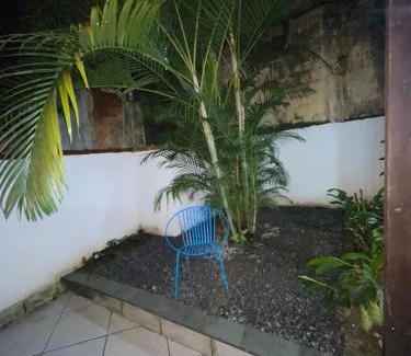 Centro Apartamento | Francisco's House