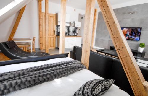 Szczawno-Zdroj Apartamento | Franciszek przy Parku Szwedzkim