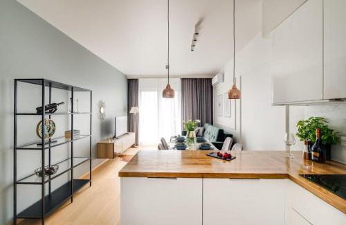 Katowice Apartamento | Francuska Atal Premium