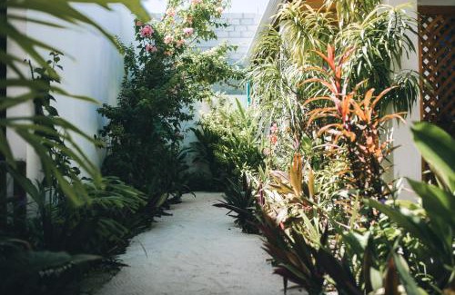 Fulhadhoo Casa | Frangipani Fulhadhoo
