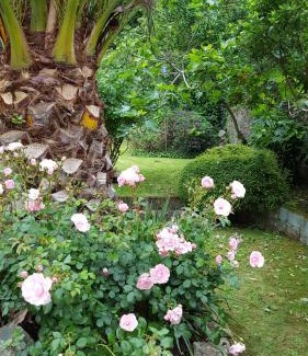 St. Helier Cama Y Desayuno | Franklyn Guesthouse
