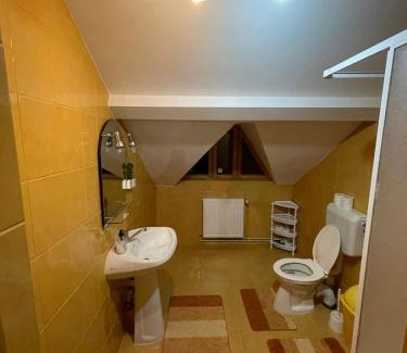 Rasnov Casa | Freemont
