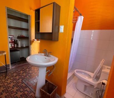 Parque Apartamento | Fresh Tropical Colonial Style Walk-Up- Rooftop Terrace- Beach View