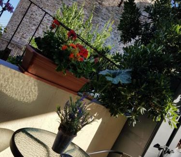 Ano Poli Apartamento | Frida's House in Old Town Thessaloniki