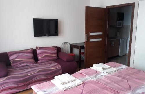 Velky Meder Apartamento | Fridrich apartman
