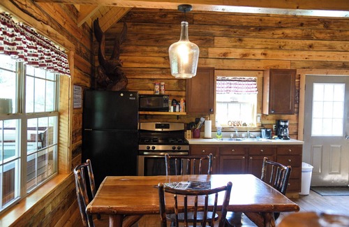Leeper Cabina | Friendly Bear Log Cabin near Cook Forest State Park