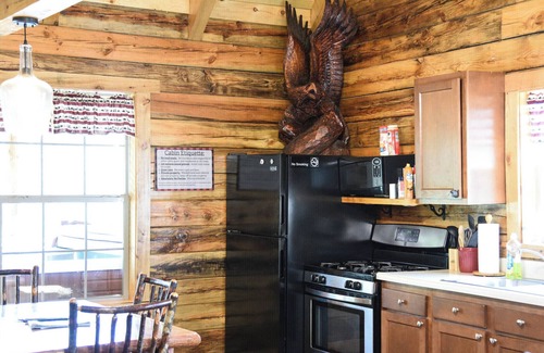 Leeper Cabina | Friendly Bear Log Cabin near Cook Forest State Park
