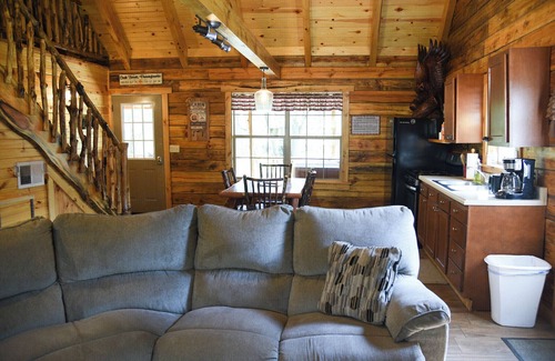 Leeper Cabina | Friendly Bear Log Cabin near Cook Forest State Park