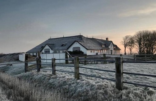 St. Peter-Ording Cabaña | Friesenhof Appartement 7