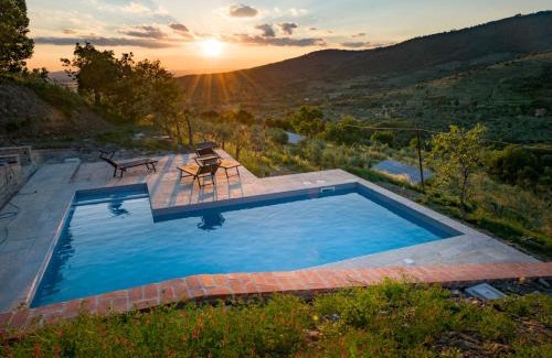 Cortona Casa | fringuello