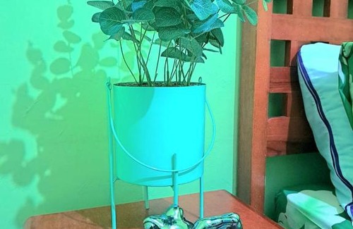 Taxco Casa | Frog room Taxco downtown