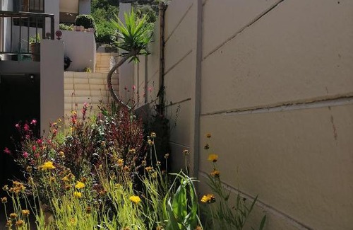 Froggy Farm Casa | Froggy at the Pond
