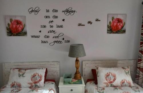 Froggy Farm Casa | Froggy Bay is the best all the way!