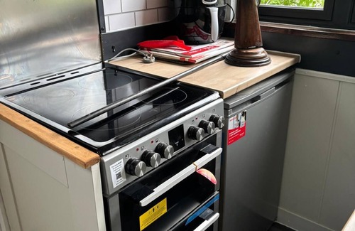 Machynlleth Cabina | Froggy Bottom Cabin Retreat