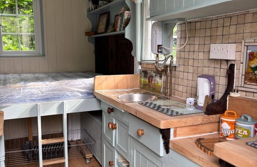 Machynlleth Cabina | Froggy Bottom Cabin Retreat