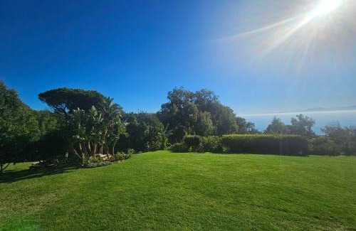 Froggy Farm Apartamento | Froggy Farm Self Catering