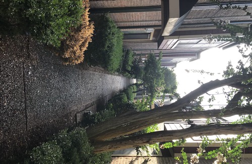 Garden Oaks Apartamento | From Ten to Zen
