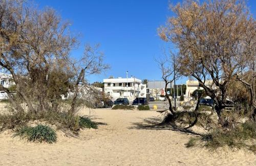 Posto Vecchio Apartamento | Front Beach Apartments Rose Superiore