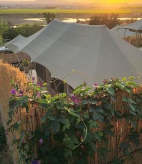 Vioolsdrift Settlement Complejo | Frontier River Resort