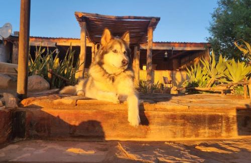 Vioolsdrift Settlement Complejo | Frontier River Resort